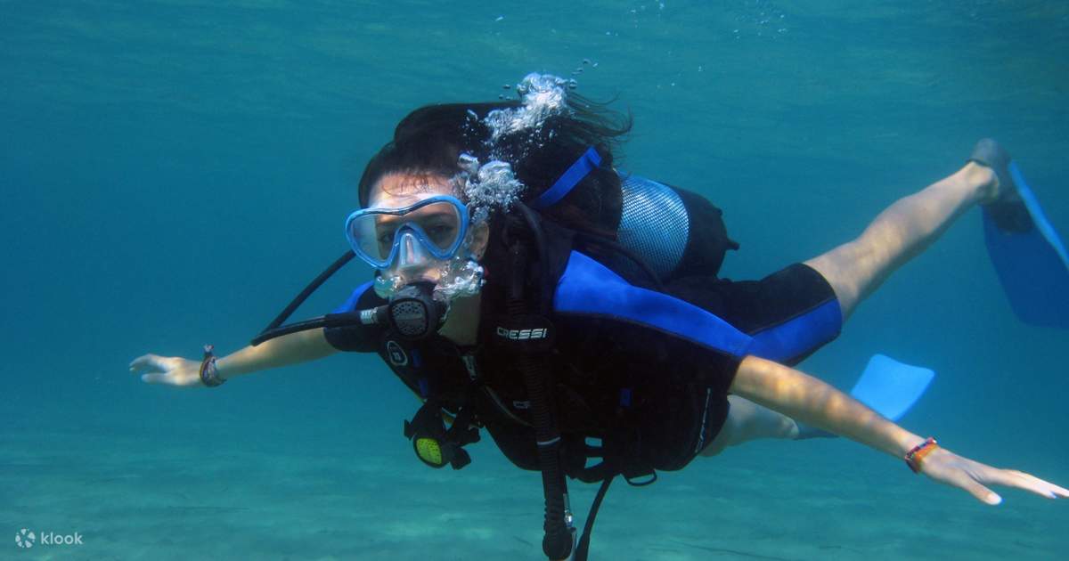 Scuba Diving Lesson in Nea Makri Klook